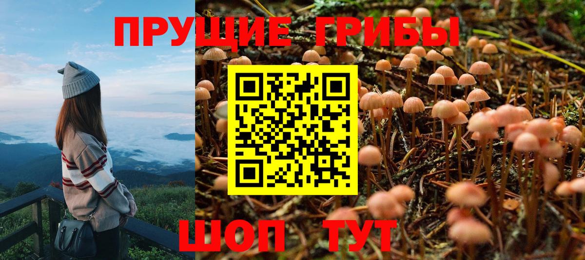 Псилоцибиновые грибы Psilocybine cubensis  Вход с VPN  Фрязино 