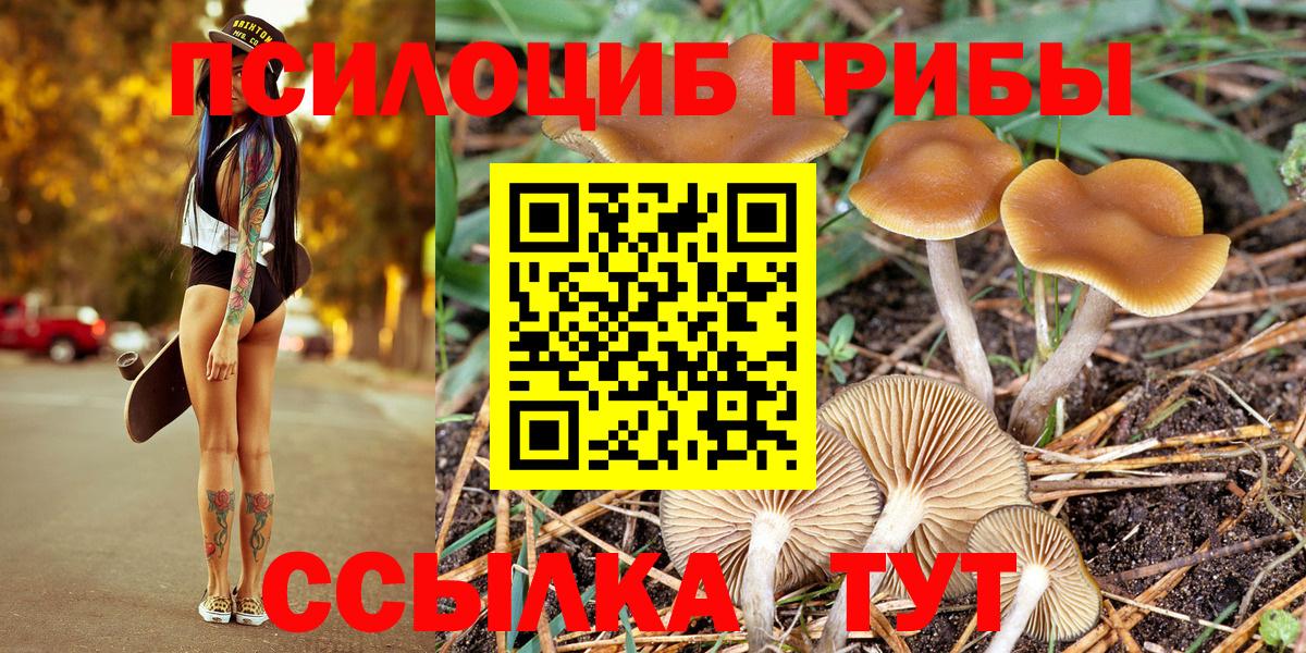 Псилоцибиновые грибы Cubensis Фрязино